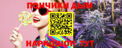 ALPHA PVP Камышлов