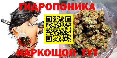 меф Кандалакша
